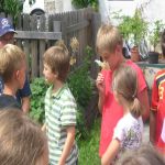 Holundertag   04
